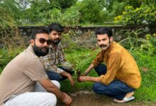फालना के पूर्व छात्रसंघ अध्यक्ष विक्रम सिंह चावण्डा जन्मदिन के अवसर पर पौधा रोपण करते हुए।