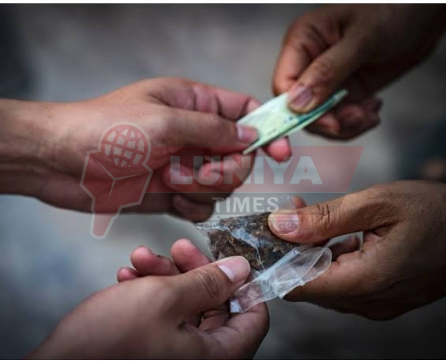 ड्रग तस्करी का गढ़ बनता इलाका, पुलिस प्रशासन के लिए बड़ी चुनौती 1 WhatsApp Image 2025 07 29 at 14.05.08