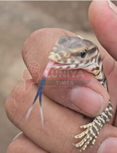 WhatsApp Image 2025 07 31 at 14.30.56 1