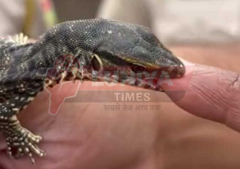 WhatsApp Image 2025 07 31 at 14.30.56