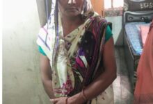 IMG 20250824 WA00771