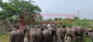 WhatsApp Image 2025 08 10 at 17.41.19