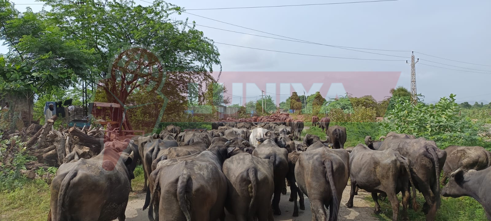 WhatsApp Image 2025 08 10 at 17.41.19