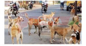 WhatsApp Image 2025 08 12 at 15.54.15