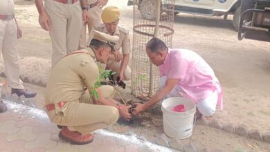 WhatsApp Image 2025 08 15 at 17.40.24