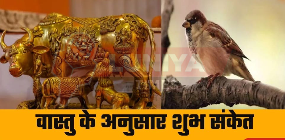 WhatsApp Image 2025 08 17 at 10.10.59