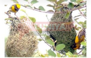 WhatsApp Image 2025 08 17 at 11.10.40