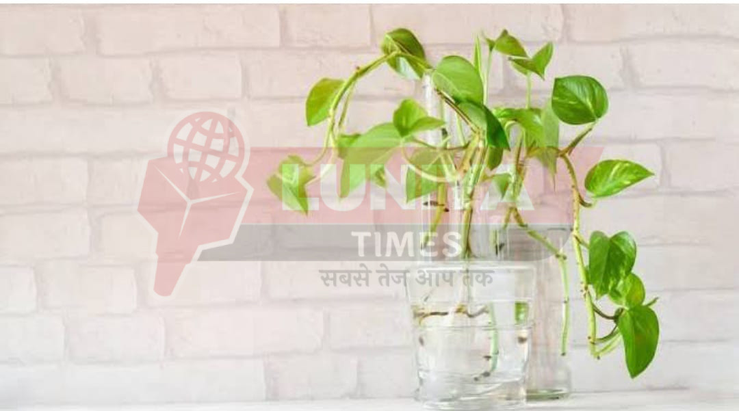 WhatsApp Image 2025 08 18 at 13.52.12