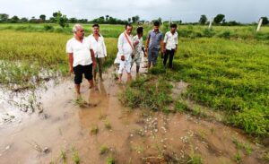 221403 Image 39bf0cc3 196c 403e 8f7d ec7e8c9cdeb6