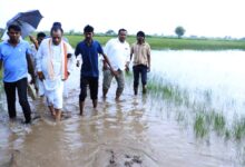 221403 Image d7577a6a e8ec 4326 95b8 821022664c79