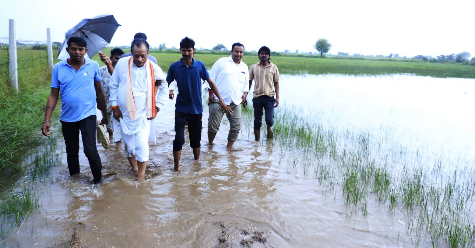 221403 Image d7577a6a e8ec 4326 95b8 821022664c79