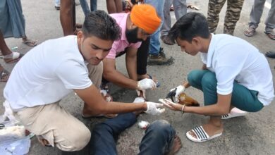 IMG 20250920 WA0011 1