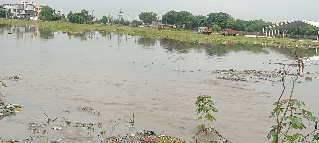 WhatsApp Image 2025 09 01 at 17.16.01 1