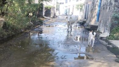 WhatsApp Image 2025 09 14 at 10.35.04