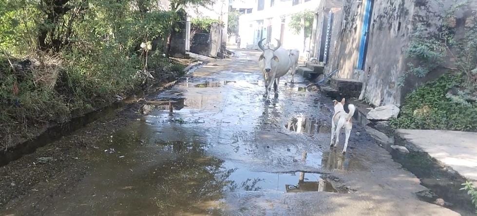 WhatsApp Image 2025 09 14 at 10.35.04