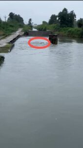 WhatsApp Image 2025 09 18 at 12.48.45