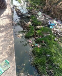 WhatsApp Image 2025 09 21 at 11.25.07