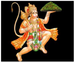 WhatsApp Image 2025 10 19 at 11.14.23