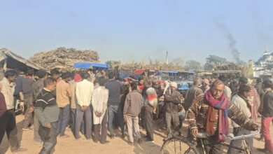 WhatsApp Image 2025 11 19 at 11.58.21 AM