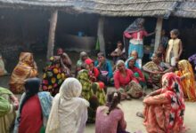 WhatsApp Image 2025 11 20 at 5.48.44 PM