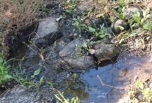 WhatsApp Image 2025 12 17 at 11.05.16 AM