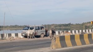 WhatsApp Image 2025 12 18 at 7.23.36 PM 1