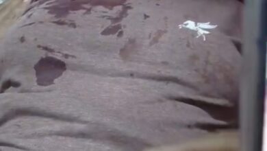 WhatsApp Image 2025 12 20 at 1.56.00 PM