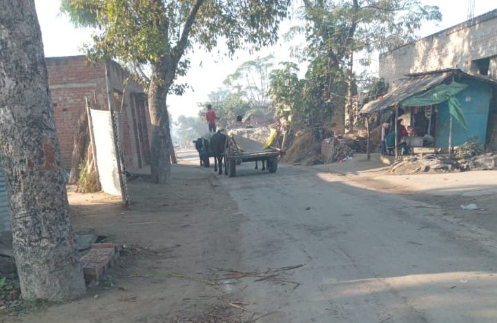 WhatsApp Image 2025 12 23 at 6.11.51 PM