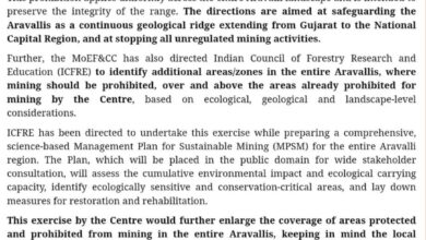 WhatsApp Image 2025 12 25 at 13.46.21