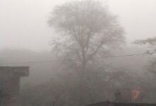 कोठार गांव में कड़ाके की सर्दी के साथ नए साल का आगाज, घना कोहरा और शीतलहर से जनजीवन प्रभावित 6 IMG 20260101 WA0003