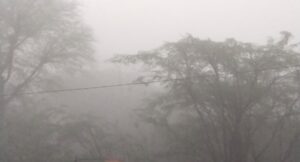 कोठार गांव में कड़ाके की सर्दी के साथ नए साल का आगाज, घना कोहरा और शीतलहर से जनजीवन प्रभावित 7 IMG 20260101 WA0004