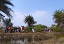 WhatsApp Image 2026 01 02 at 1.26.24 PM