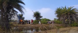 WhatsApp Image 2026 01 02 at 1.26.24 PM