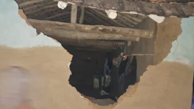 WhatsApp Image 2026 01 10 at 7.12.08 PM