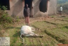 WhatsApp Image 2026 01 11 at 9.38.23 PM