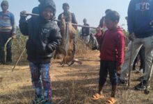 WhatsApp Image 2026 01 15 at 6.09.29 PM