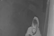 बड़ी दुदनी गांव में 4 जगहों पर चोरी की वारदात से मचा हड़कंप सीसी टीवी में चोर कैद 7 WhatsApp Image 2026 01 19 at 8.55.26 AM