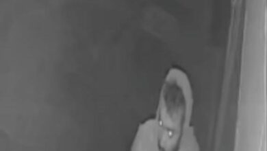 WhatsApp Image 2026 01 19 at 8.55.26 AM