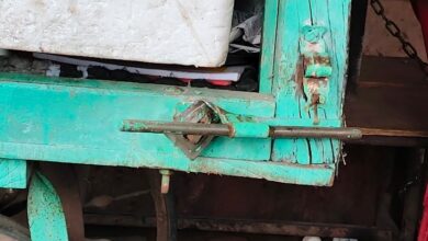 WhatsApp Image 2026 01 29 at 6.25.14 PM