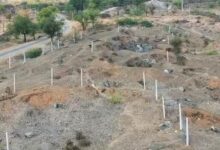 सहाड़ा में सरकारी चारागाह पर खुला कब्जा! पंचायत से 100 मीटर दूर जमीन घिरी, राजस्व प्रकरण 4890/2241 दर्ज फिर भी प्रशासन बेखबर या मिलीभगत? 21 IMG 20260224 WA0027