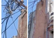 WhatsApp Image 2026 02 04 at 3.59.13 PM