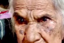 WhatsApp Image 2026 02 06 at 2.37.58 PM