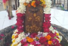 WhatsApp Image 2026 02 06 at 4.03.04 PM