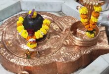 WhatsApp Image 2026 02 10 at 5.32.58 PM