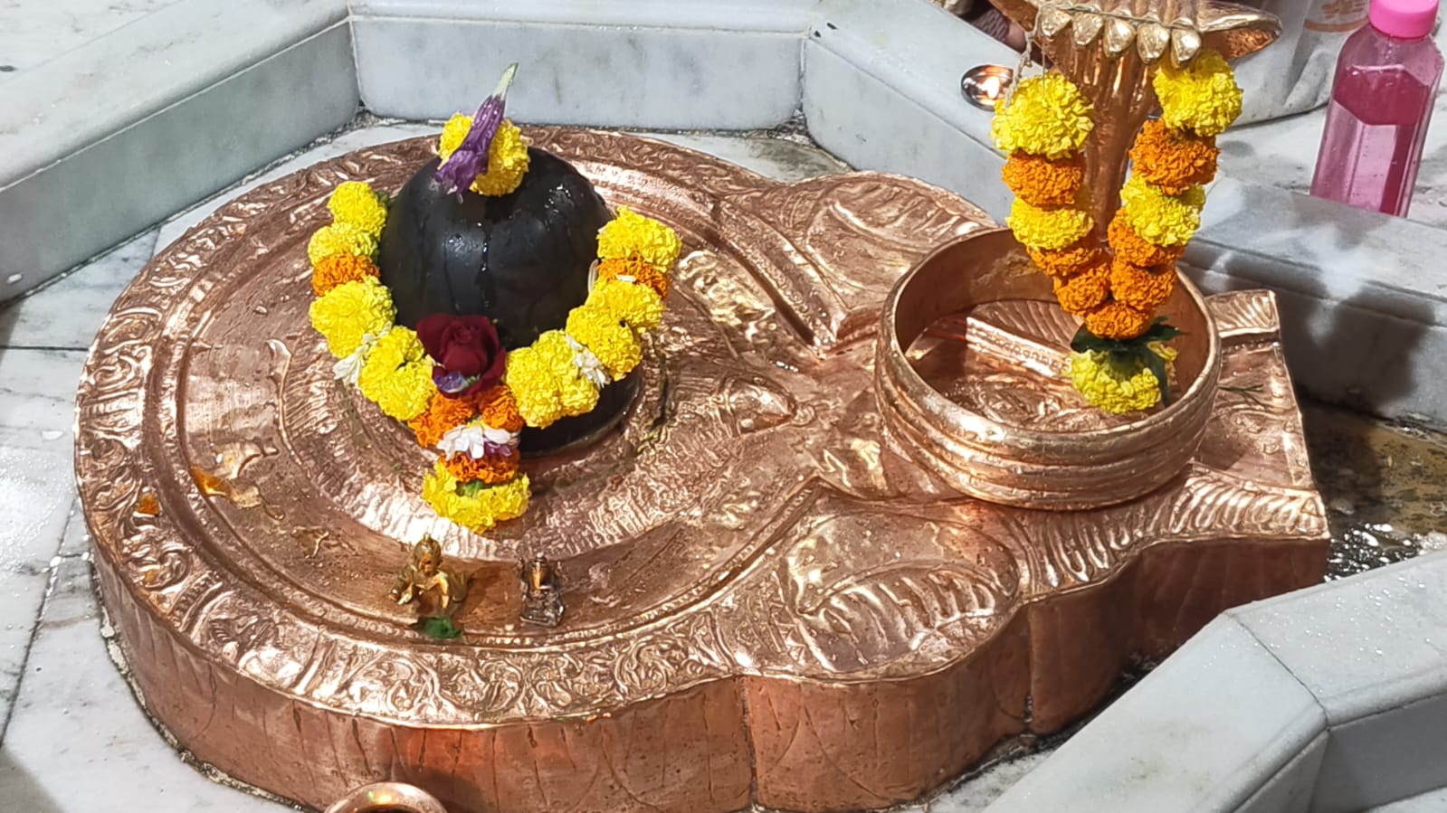 WhatsApp Image 2026 02 10 at 5.32.58 PM