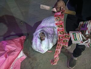 WhatsApp Image 2026 02 10 at 7.02.30 PM 1