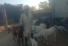 WhatsApp Image 2026 02 10 at 9.42.30 PM