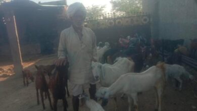 WhatsApp Image 2026 02 10 at 9.42.30 PM