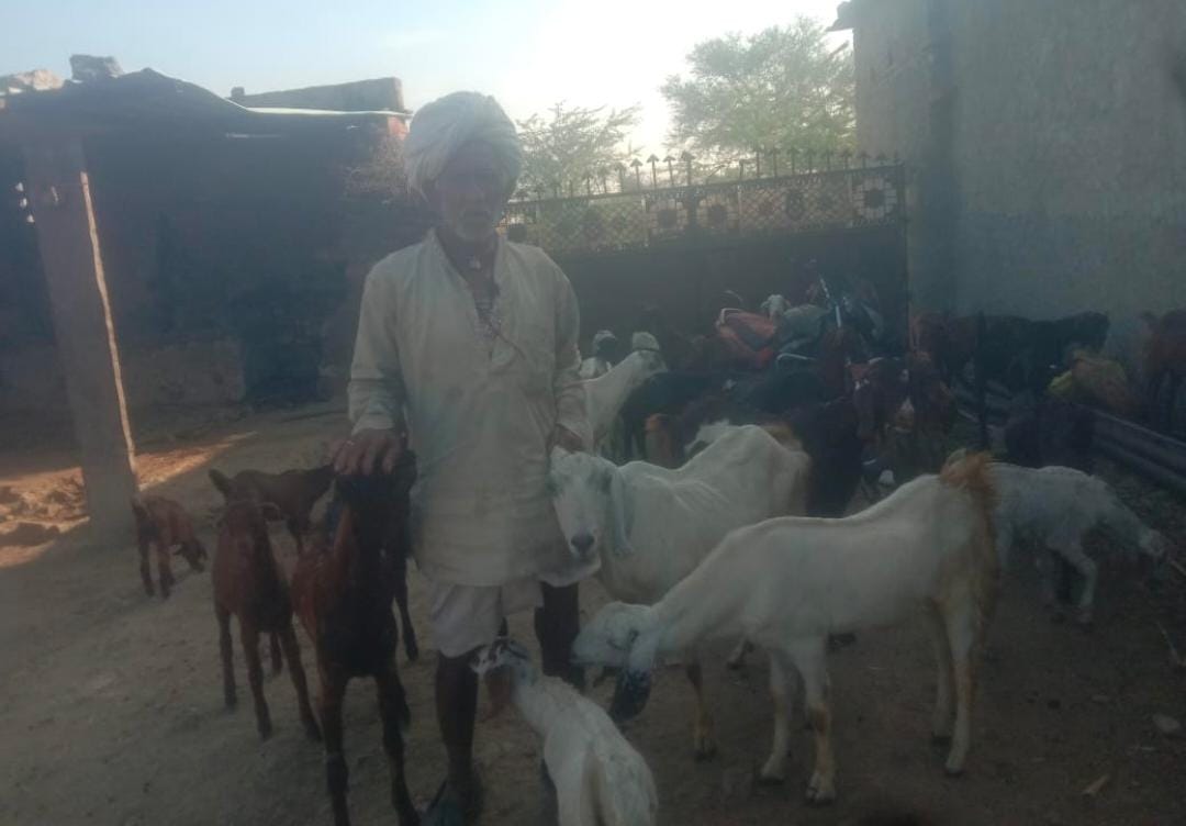 WhatsApp Image 2026 02 10 at 9.42.30 PM