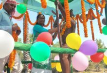 WhatsApp Image 2026 02 11 at 6.47.05 PM